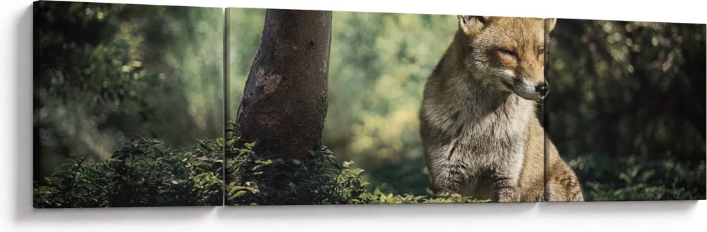 Obraz lisa (170x50 cm)