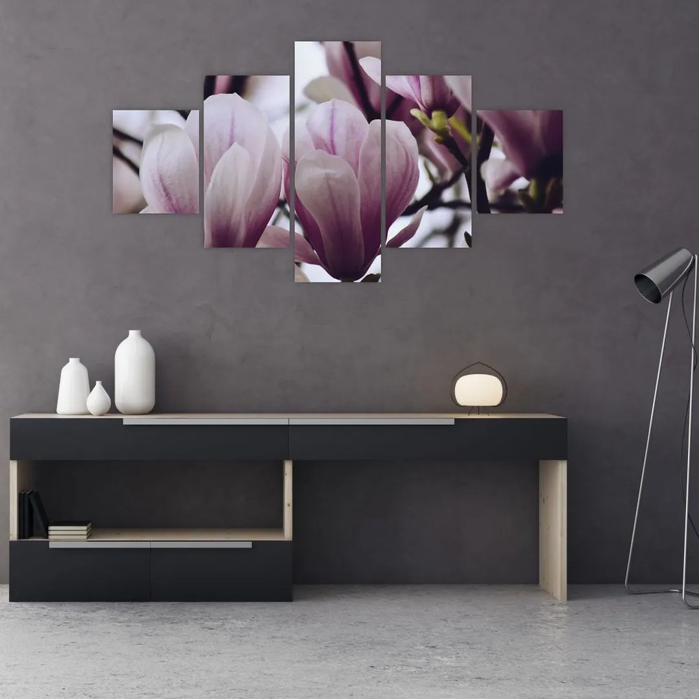 Obraz - Magnolia (125x70 cm)