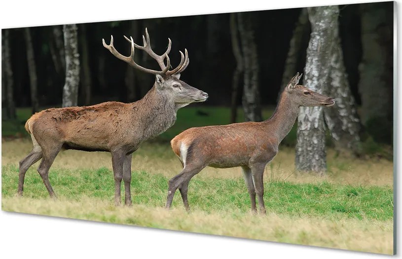 Panel Szklany Jeleń w Gęstwinie Leśnej