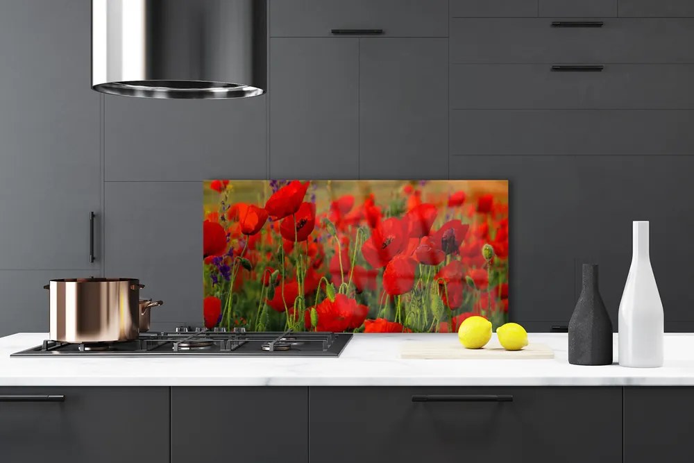 Szkło do Kuchni na Ścianę Maki w Letnim Słońcu