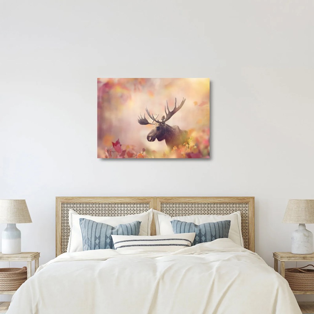 Obraz na szkle - Las w jesiennych liściach (70x50 cm)