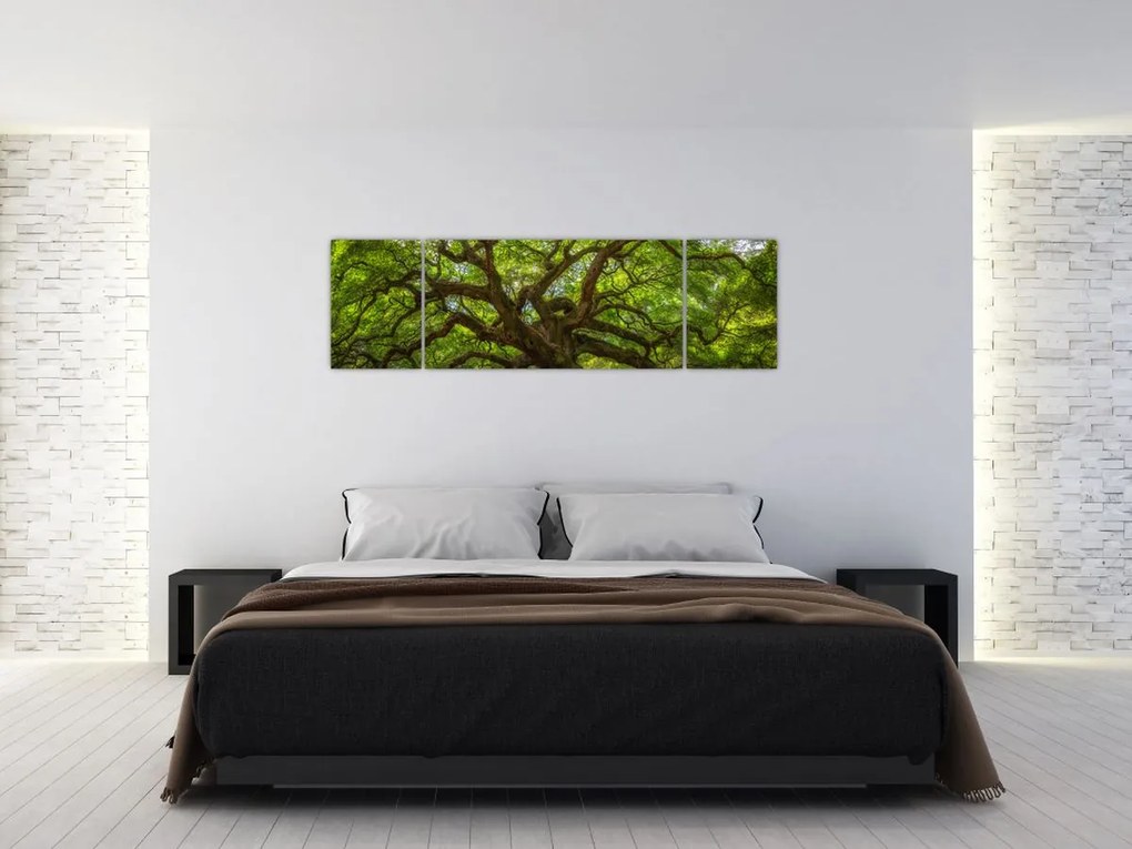 Obraz - Zielone drzewo (170x50 cm)