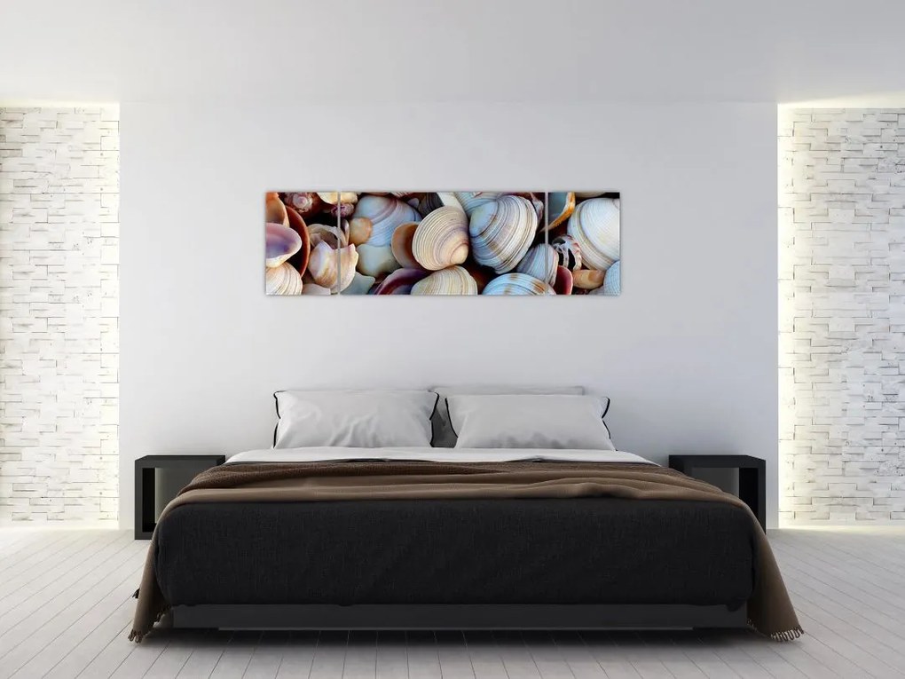 Obraz muszelek (170x50 cm)