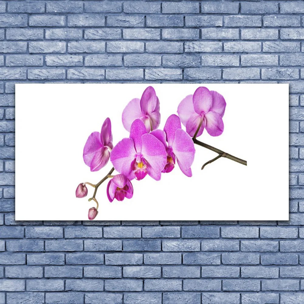 Obraz Canvas Storczyk Orchidea Kwiaty