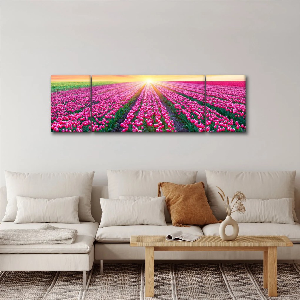 Obraz pole tulipanów ze słońcem (170x50 cm)