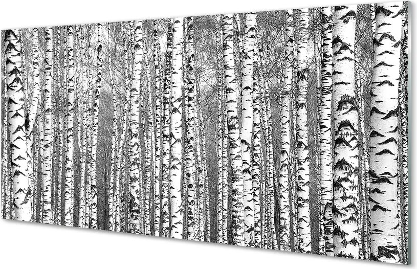 Szklany Panel Czarno-Biała Fotografia Drzew