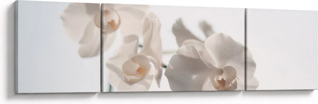 Obraz białej orchidei (170x50 cm)