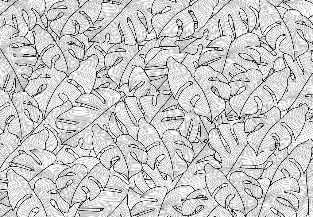 Fototapeta - Liście monstery (196x136 cm)