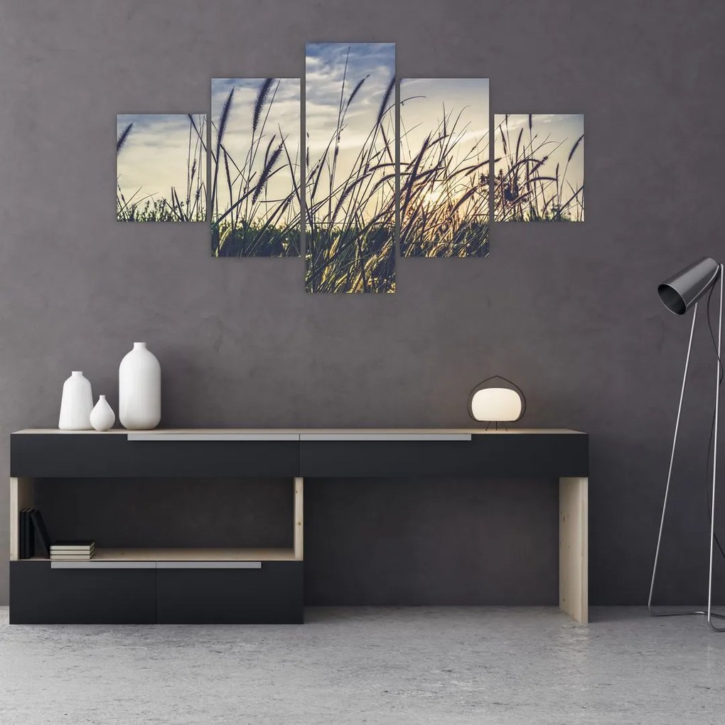 Obraz kwiatów łąkowych (125x70 cm)