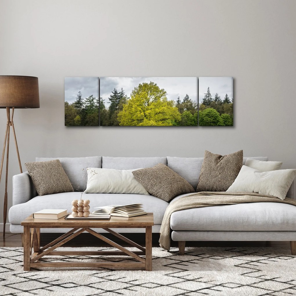 Obraz zielonego drzewa na środku pola (170x50 cm)