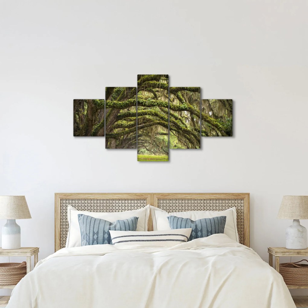 Obraz - Oaks Avenue, Charleston, Karolina Południowa, USA (125x70 cm)