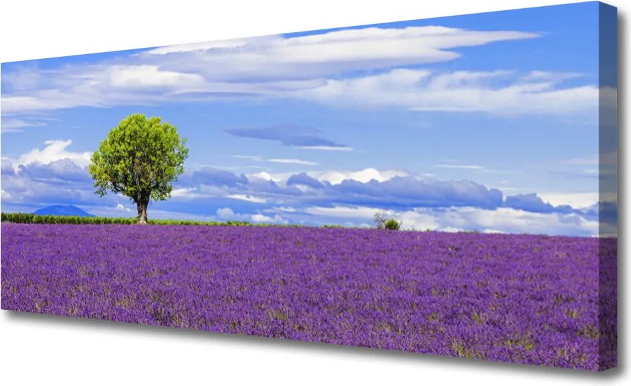 Obraz canvas Potężny Nur Górskiego Wodospadu