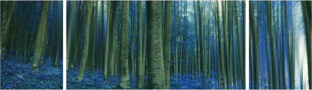 Obraz - Niebieski las (170x50 cm)