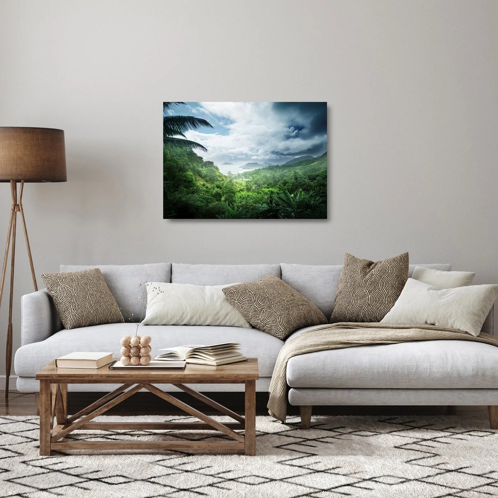 Obraz na szkle - Dżungla Seszeli (70x50 cm)