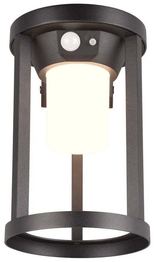 Lampa zewnętrzna LED z czujnikiem ruchu (wysokość 21 cm) Carmo – Trio