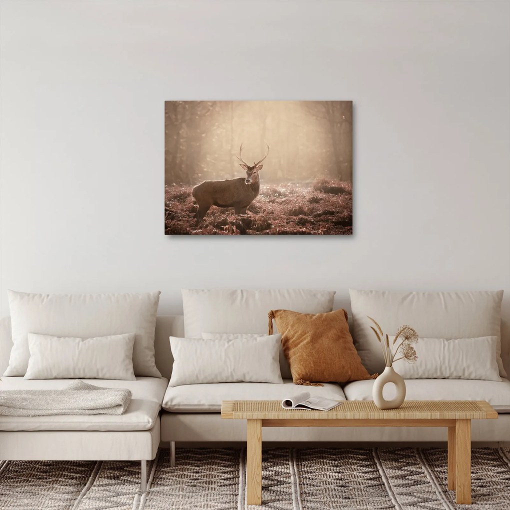 Obraz - Jeleń w lesie (70x50 cm)