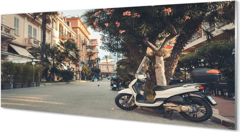 Szklany Panel Motocykle pod Palmami w Lecie