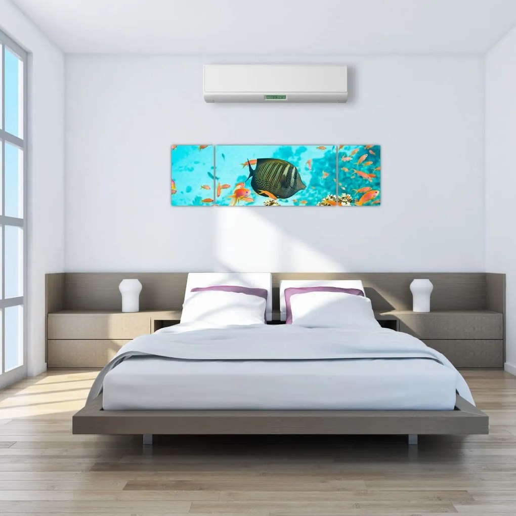 Obraz podwodnego świata (170x50 cm)