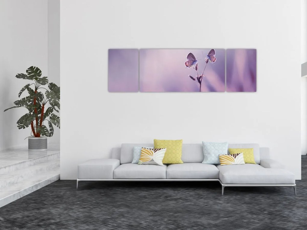 Obraz - Fioletowe motyle (170x50 cm)
