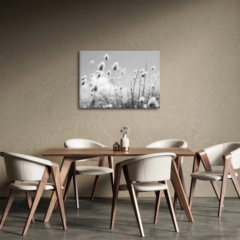 Obraz - Trawa z ogonkiem króliczka Boho (70x50 cm)