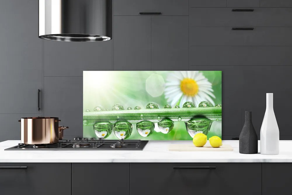 Szkło do Kuchni na Ścianę Rosa Na Stokrotkach