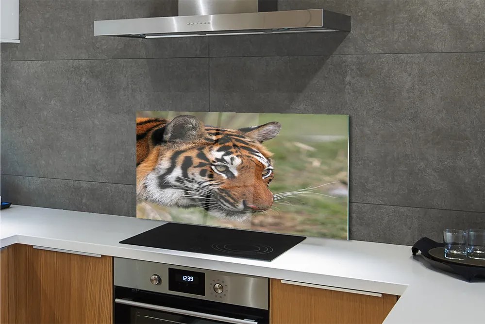 Panel szklany do Kuchni Władca Dżungli w Gęstwinie