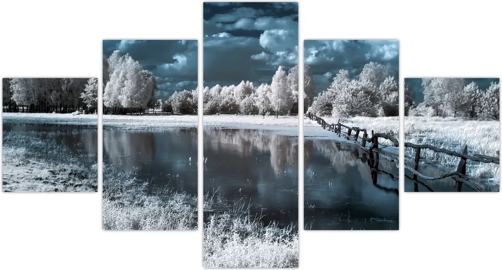 Obraz - Zamarznięty krajobraz (125x70 cm)