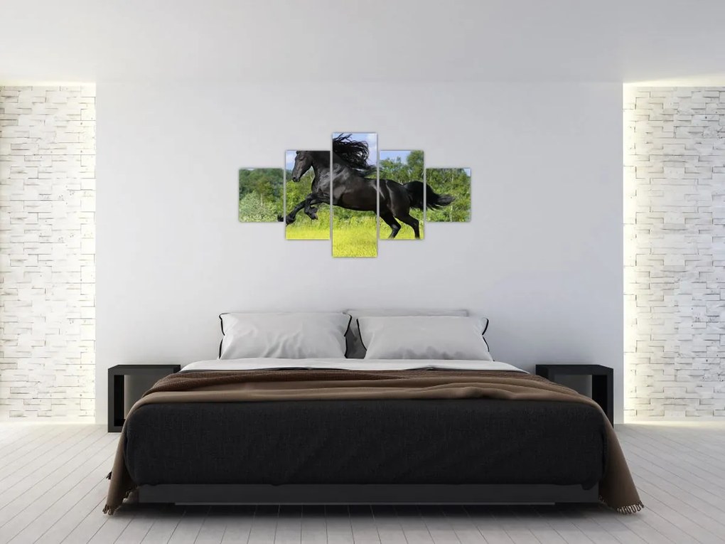 Obraz - Koń z płynącą grzywą (125x70 cm)