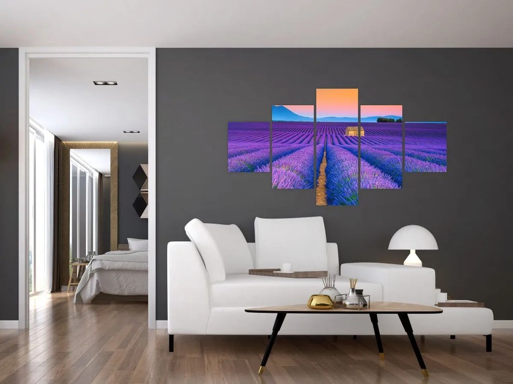 Obraz - Lewndowe pole (125x70 cm)