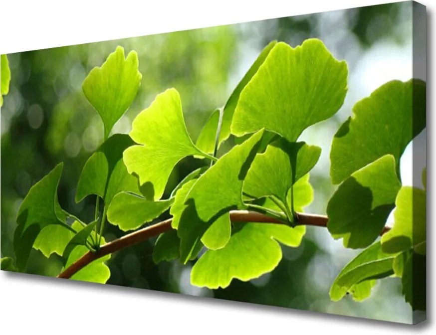 Obraz canvas na ścianę Zielone Liście na Gałęzi