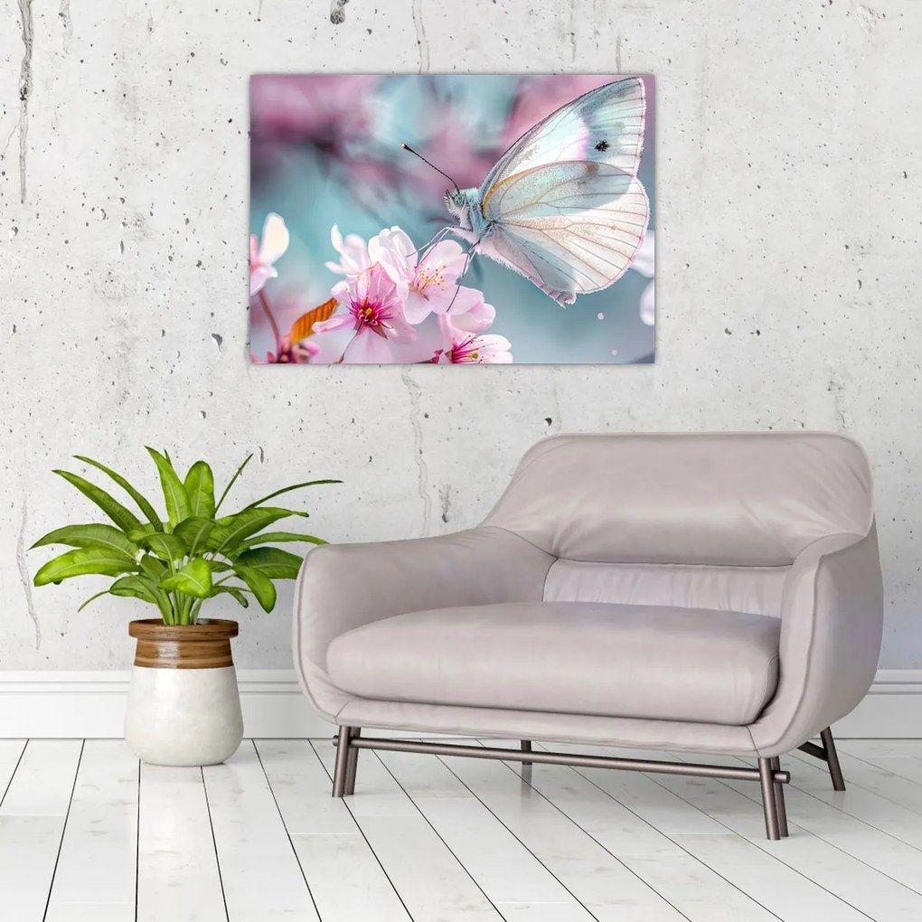 Obraz - Motyl na drzewie wiśni (70x50 cm)