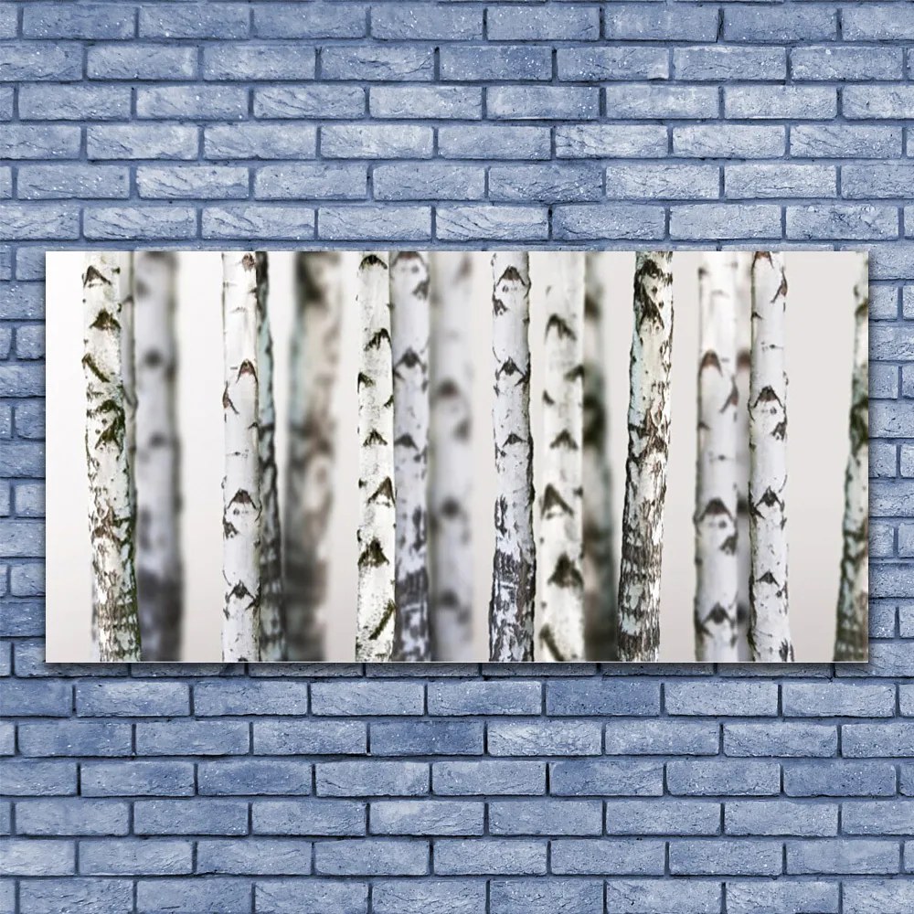 Obraz canvas Gęsta Korona Drzew