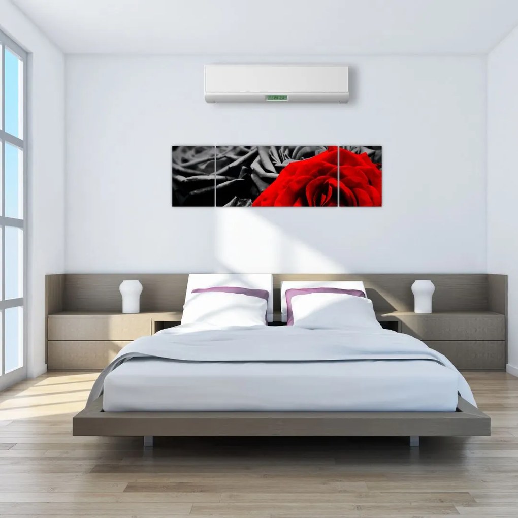 Obraz - Kwiaty róży (170x50 cm)