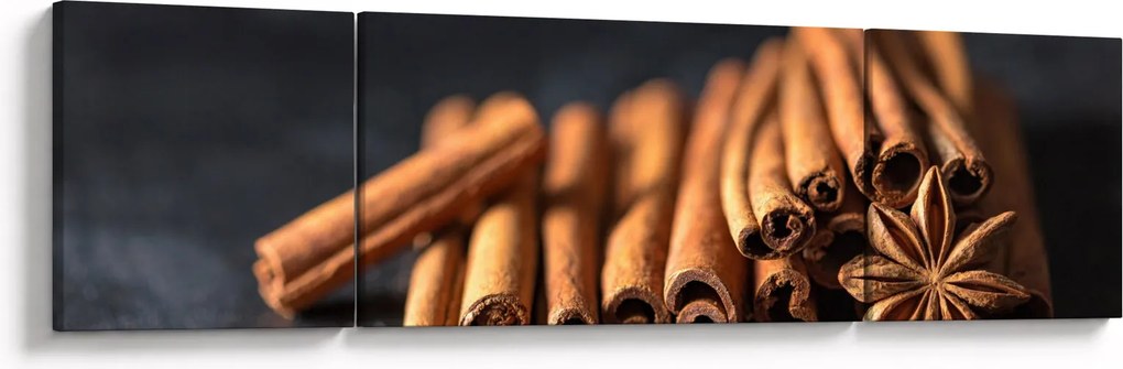 Obraz cynamonu (170x50 cm)