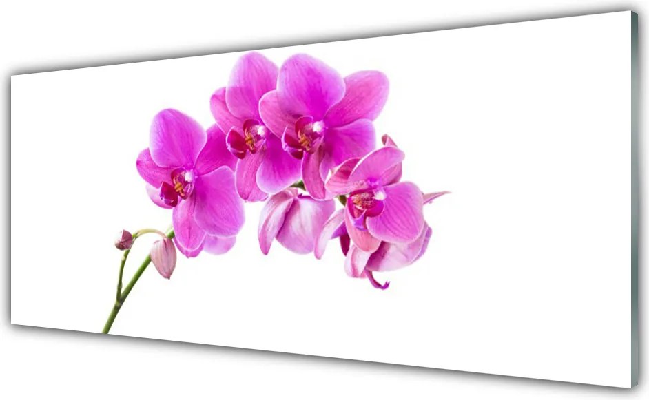 Panel nad blat kuchenny Wykwintna Forma Storczyka