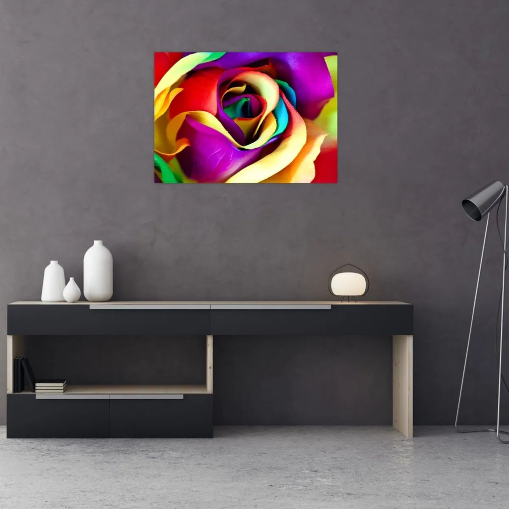 Obraz - Kolorowa róża (70x50 cm)