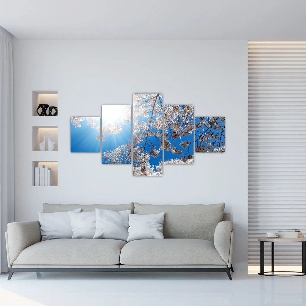 Obraz - Wiśniowe kwiaty (125x70 cm)