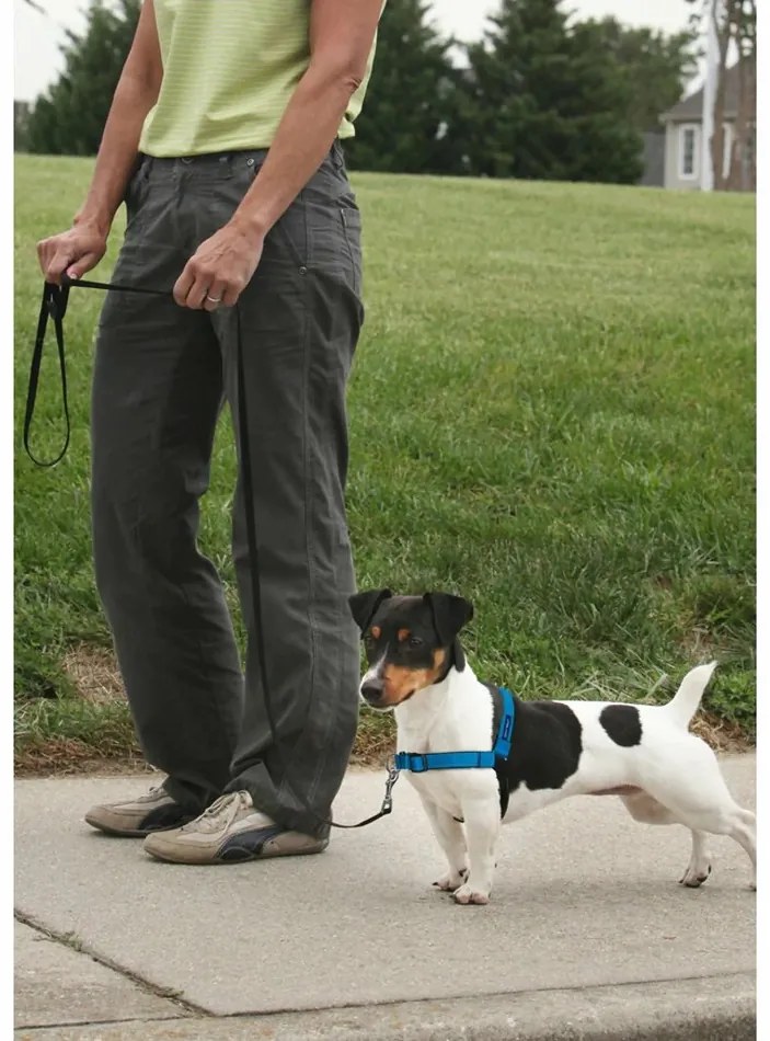 PetSafe Szelki EasyWalk Deluxe niebieskie rozmiarS