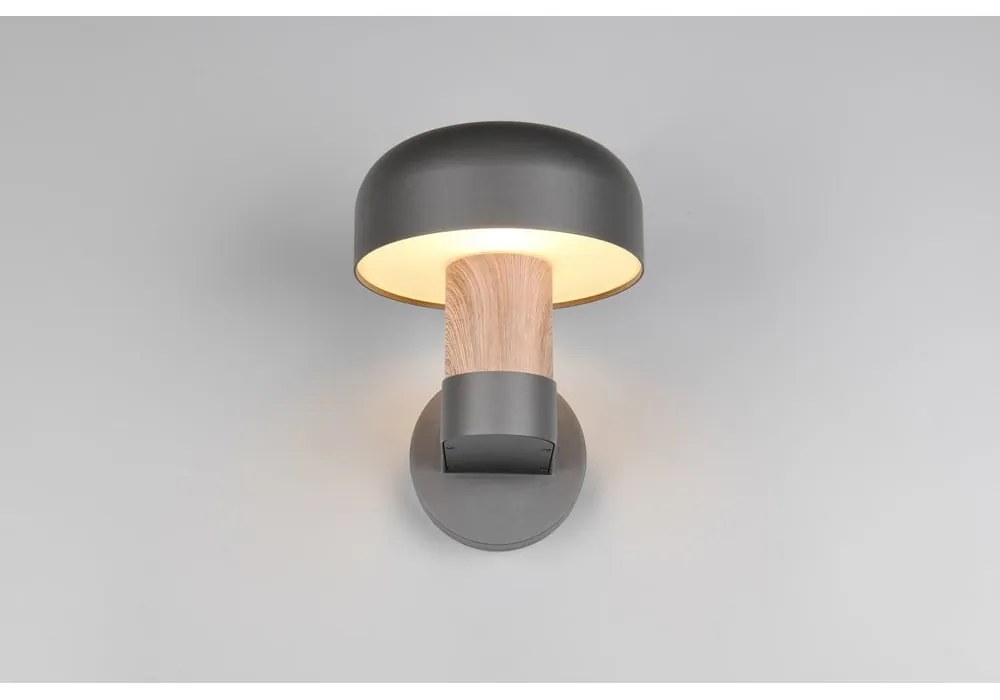 Zewnętrzna lampa ścienna (wysokość 24,5 cm) Fraser – Trio