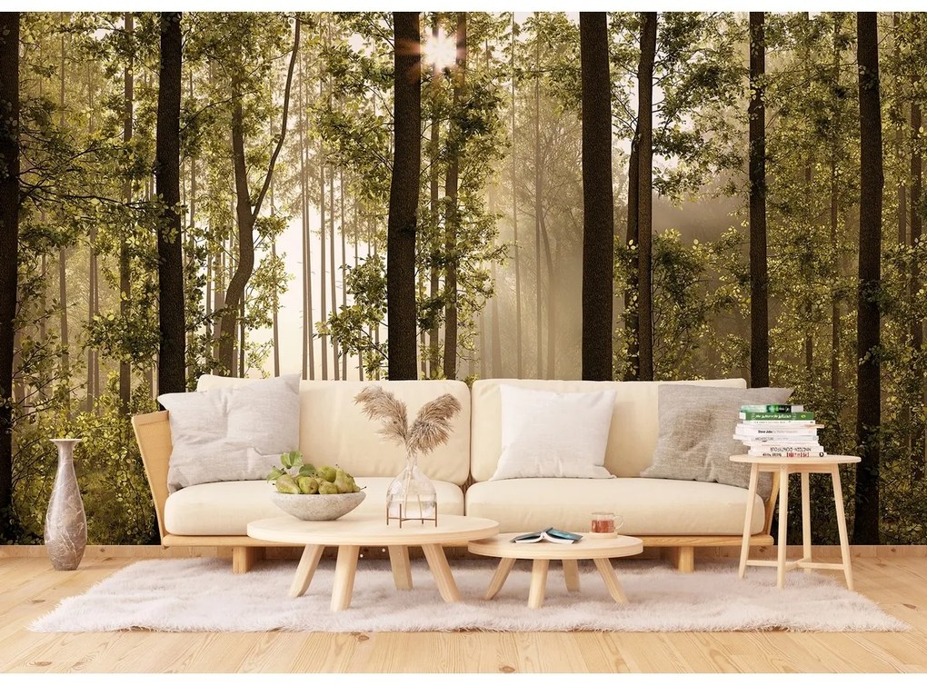 Fototapeta XXL Forest 360 x 254 cm, 4 części