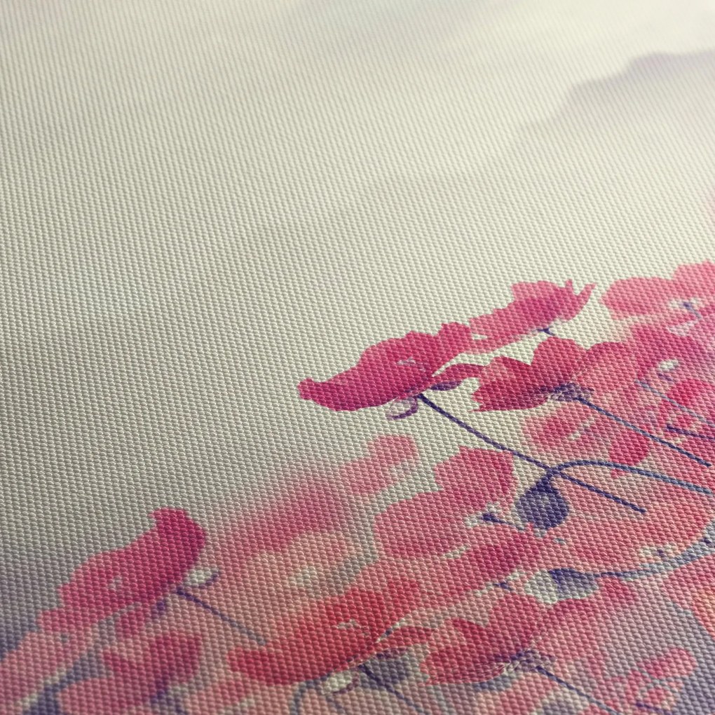 Obraz - Maki (70x50 cm)