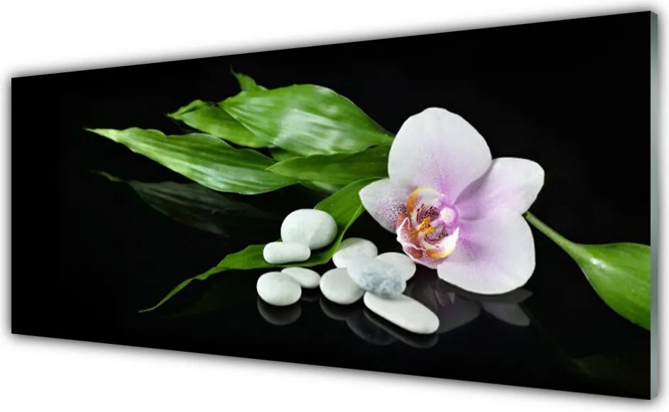 Szkło do Kuchni na Ścianę Kompozycja Spa I Natury