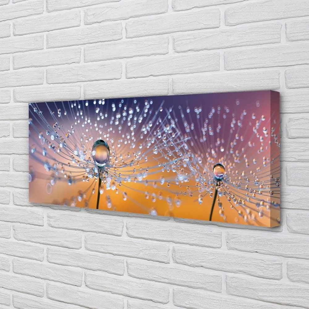 Obraz na płótnie Rosa na Parasolkach Dmuchawca