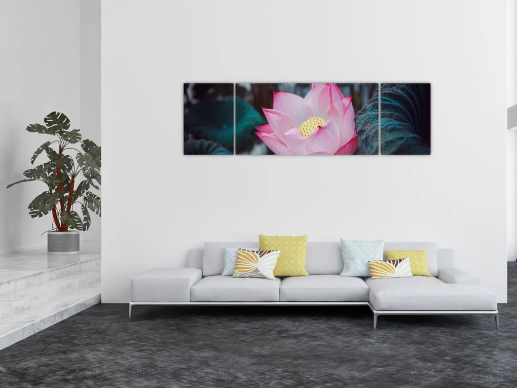 Obraz różowego kwiatu (170x50 cm)