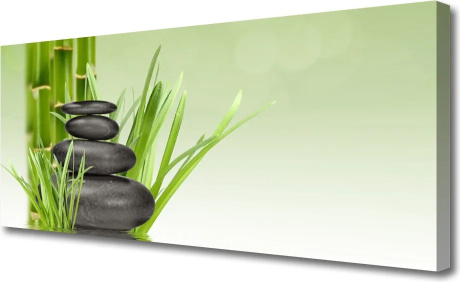 Obraz canvas Świeżość Zielonego Bambusa