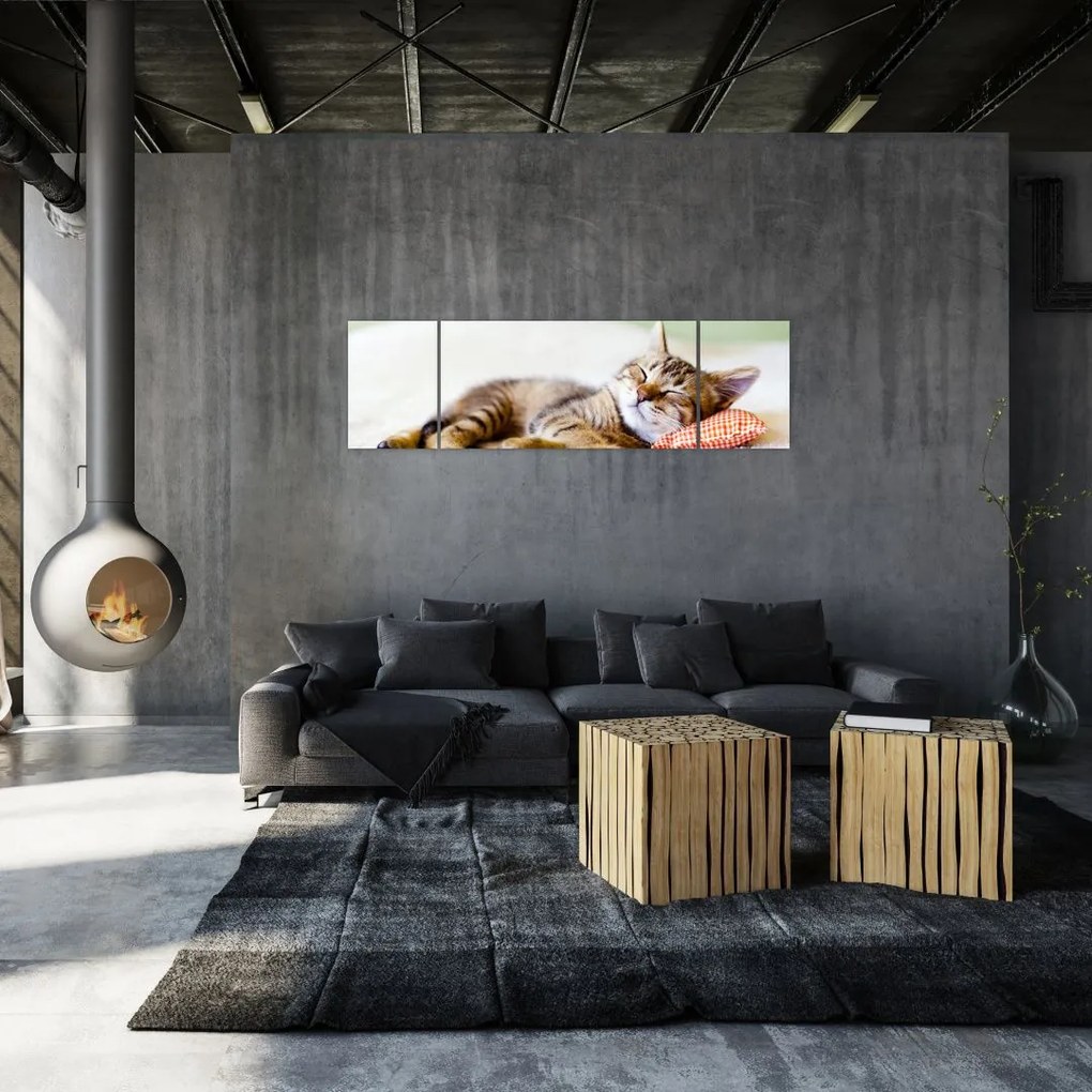 Obraz - Śpiący kotek (170x50 cm)