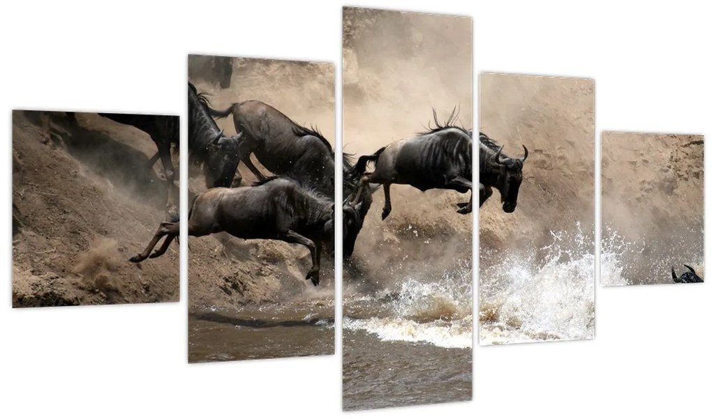 Obraz - Stado antylop gnu (125x70 cm)