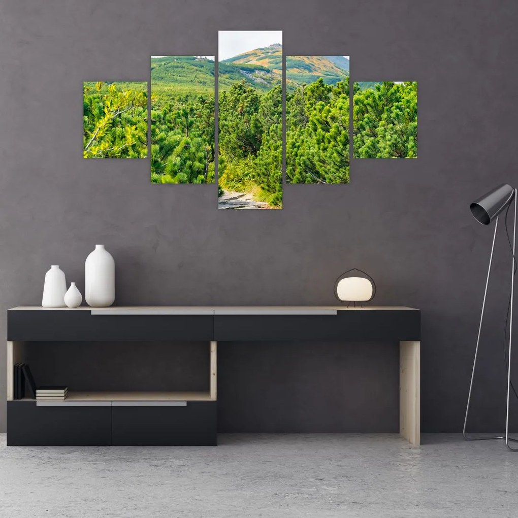 Obraz - Babia Góra, Polska (125x70 cm)