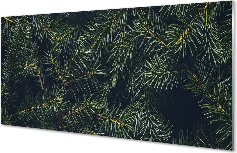 Panel szklany do Kuchni Świerkowe Gałązki