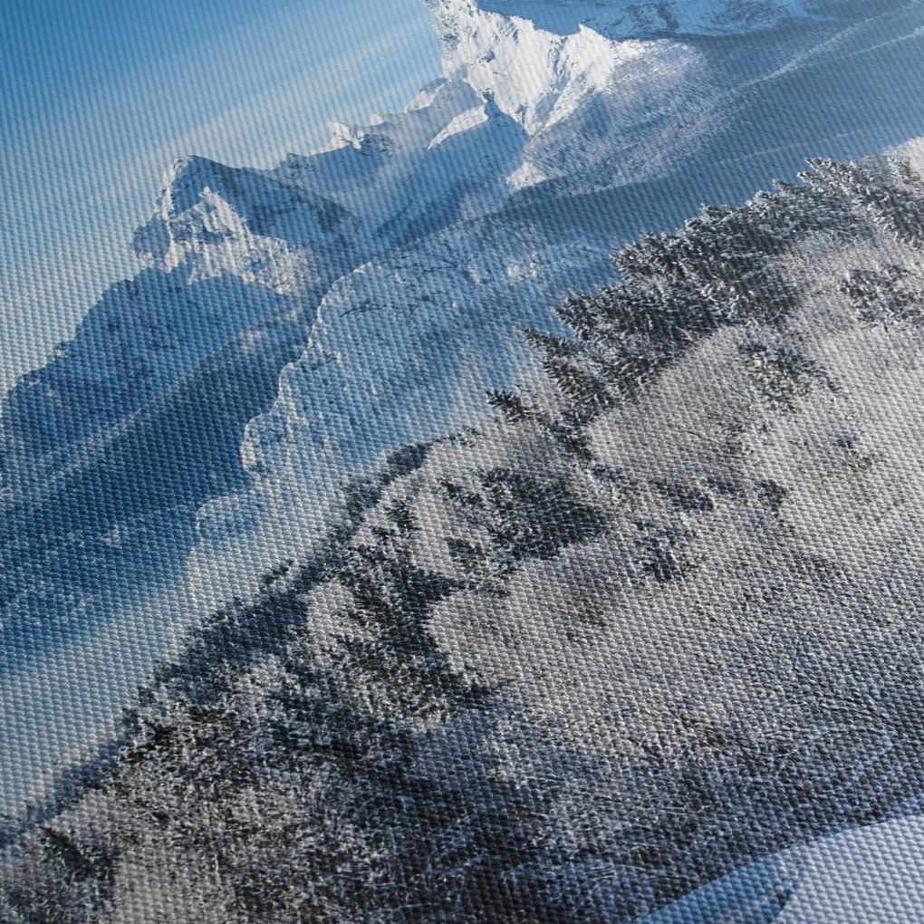 Obraz - Zaśnieżony krajobraz (170x50 cm)